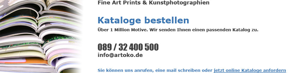 Kunstdruck Kataloge